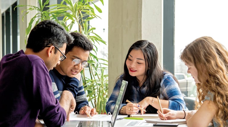 Group of students studying together