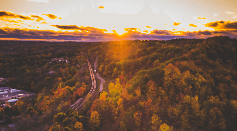 View of trees and sunset in Autumn