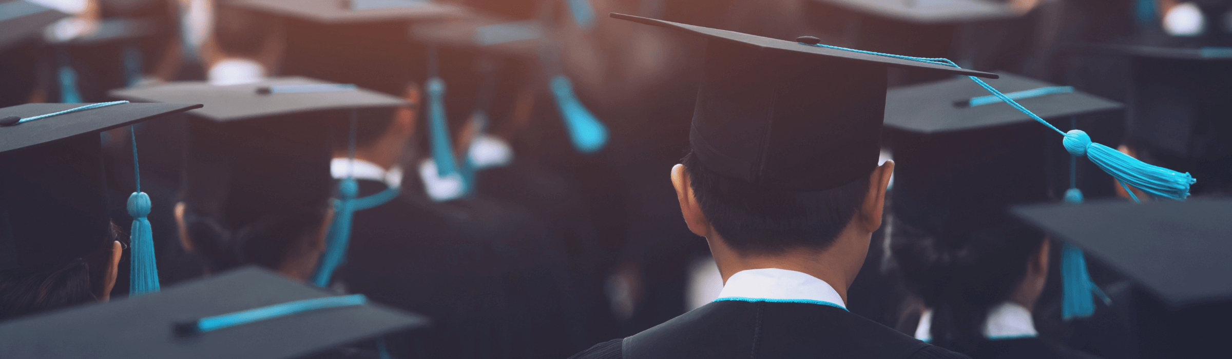 Image of graduates wearing caps captured from the rear