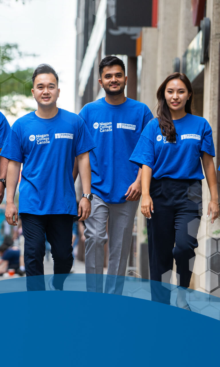 Niagara College Toronto